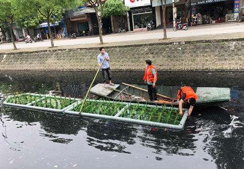 Kênh T2 bao giờ hết ô nhiễm?